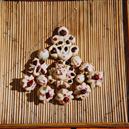 Plants: image 2 0f 4 thumb