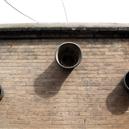 Plants: image 2 0f 4 thumb