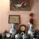 Plants: image 2 0f 4 thumb