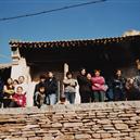 Plants: image 2 0f 4 thumb