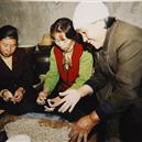 Plants: image 2 0f 4 thumb