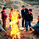 Plants: image 2 0f 4 thumb