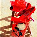 Plants: image 2 0f 4 thumb