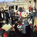 Plants: image 2 0f 4 thumb