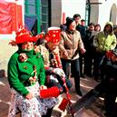 Plants: image 2 0f 4 thumb