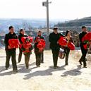 Plants: image 2 0f 4 thumb