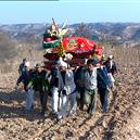 Plants: image 2 0f 4 thumb