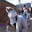 Plants: image 2 0f 4 thumb