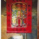 Plants: image 2 0f 4 thumb