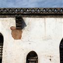 Plants: image 2 0f 4 thumb