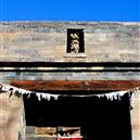 Plants: image 2 0f 4 thumb