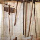 Plants: image 2 0f 4 thumb