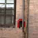 Plants: image 2 0f 4 thumb