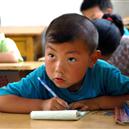 Plants: image 2 0f 4 thumb