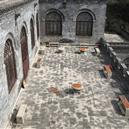 Plants: image 2 0f 4 thumb