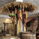 Plants: image 2 0f 4 thumb