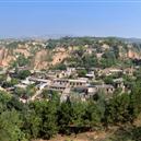 Plants: image 2 0f 4 thumb