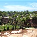 Plants: image 2 0f 4 thumb