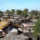 Plants: image 2 0f 4 thumb