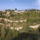 Plants: image 2 0f 4 thumb