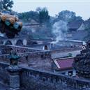 Plants: image 2 0f 4 thumb