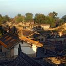 Plants: image 2 0f 4 thumb