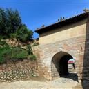 Plants: image 2 0f 4 thumb