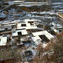 Plants: image 2 0f 4 thumb