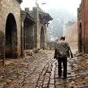 Plants: image 2 0f 4 thumb