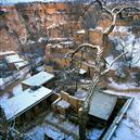 Plants: image 2 0f 4 thumb