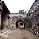 Plants: image 2 0f 4 thumb