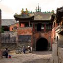 Plants: image 2 0f 4 thumb