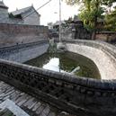 Plants: image 2 0f 4 thumb