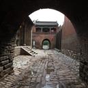 Plants: image 2 0f 4 thumb