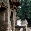 Plants: image 2 0f 4 thumb