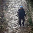 Plants: image 2 0f 4 thumb