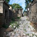 Plants: image 2 0f 4 thumb