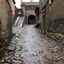 Plants: image 2 0f 4 thumb