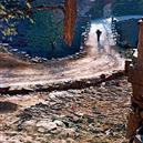 Plants: image 2 0f 4 thumb