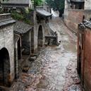 Plants: image 2 0f 4 thumb