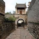 Plants: image 2 0f 4 thumb