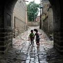 Plants: image 2 0f 4 thumb