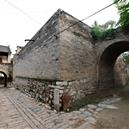 Plants: image 2 0f 4 thumb