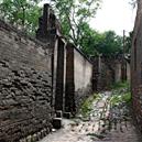 Plants: image 2 0f 4 thumb