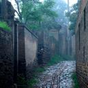 Plants: image 2 0f 4 thumb