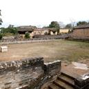 Plants: image 2 0f 4 thumb