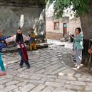 Plants: image 2 0f 4 thumb