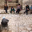 Plants: image 2 0f 4 thumb