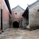 Plants: image 2 0f 4 thumb