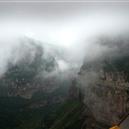 Plants: image 2 0f 4 thumb